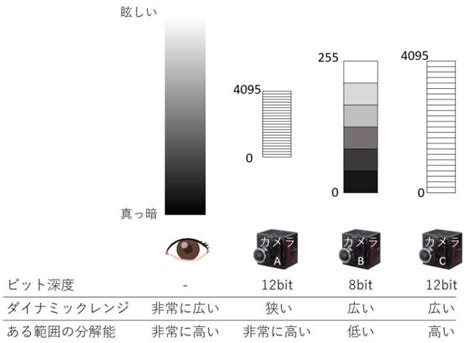 N 02 デジタルカメラの階調とダイナミックレンジ 株式会社フォトロン