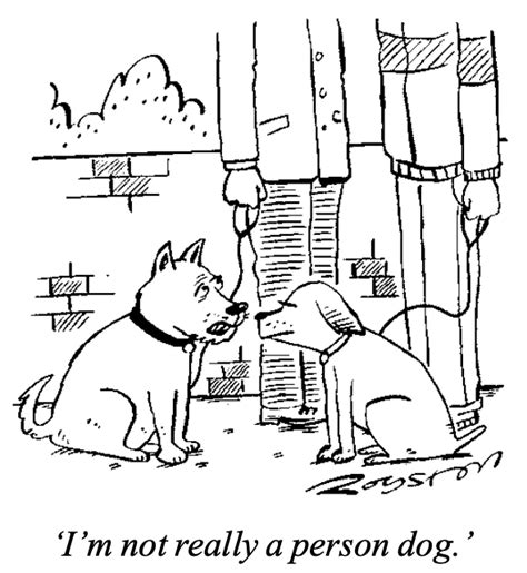 Spectator Cartoons On Twitter From The Forthcoming Spectator And