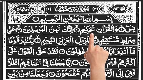 Surah Yasin Yaseen Ep 229 Full With Arabic Beautiful Recitation سورہ یس36