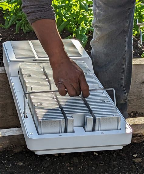 Installing LED Grow Lights in My Vegetable Greenhouse - The Martha ...