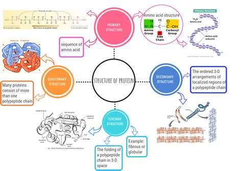 Biochemistry Education