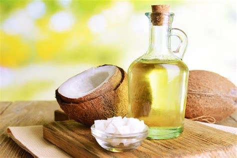 Health Benefits Of Coconut Oils For Dogs Tail And Fur