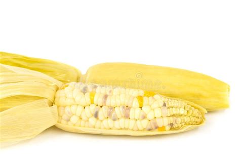 Steam Corn Stock Image Image Of Sweetcorn Fruits Food 61010889