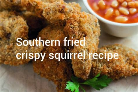 Southern Fried Crispy Squirrel Recipe Shooting UK Recipes Squirrel