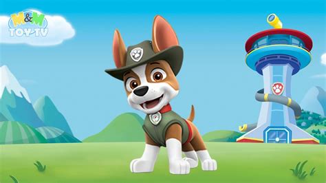 Tracker paw patrol - ratesnored