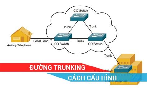 Các tiêu chuẩn IEEE Ethernet 100Base TX 100Base FX 1000Base CX