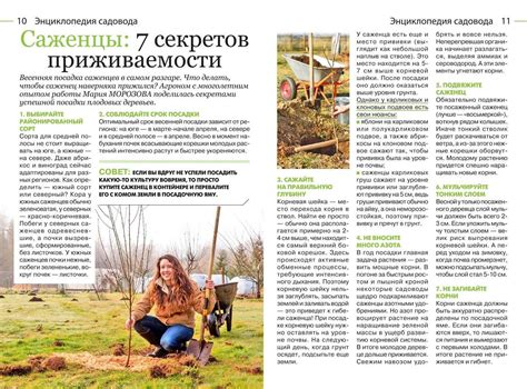 Журнал | Садовод и огородник №6 (521) (март 2024) [PDF] :: NNM-Club