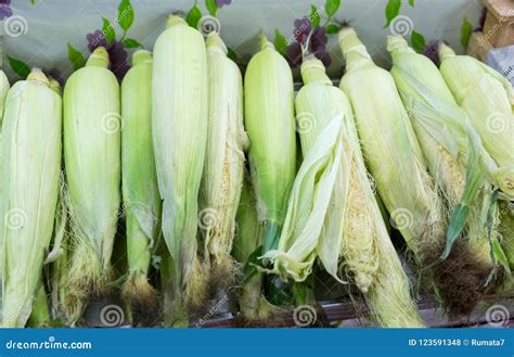 New Harvest Yellow Corn in Green Leaves Stock Photo - Image of diet ...