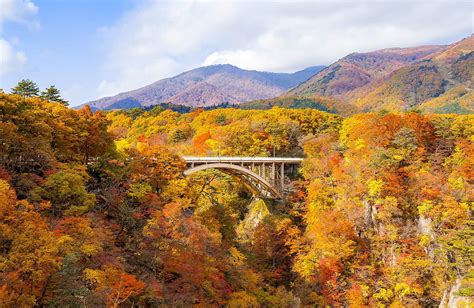 Witnessing Autumns Embrace In Japans Sendai