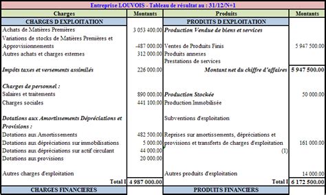 Gestion de la trésorerie et diagnostic financier approfondi