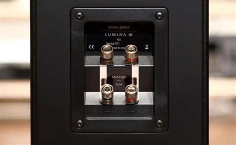 Sonus Faber Lumina III Review – HiFiReport