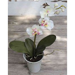 Kunstorchidee Phalaenopsis QUILA Topf Creme Rosa 40cm