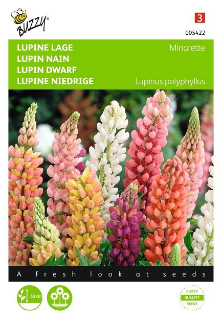 Lupin Flower Seeds - Free shipping of Seeds when ordering above 30 euro!