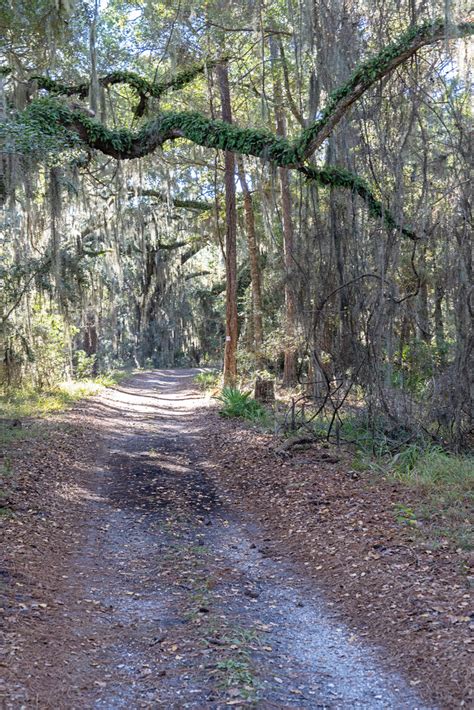 Hog Hammock Sapelo Island Ga Ben Hagen Flickr