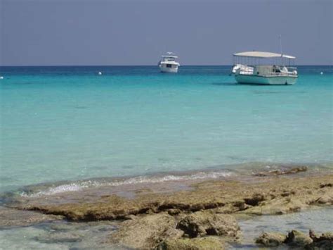 Tourist Wearing Bikini Arrested In Maldives