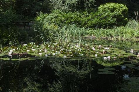 Explore the Gardens | Things To Do | Portmeirion