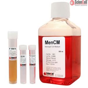 Meningeal Cell Medium Basal Phenol Red Free From ScienCell Research