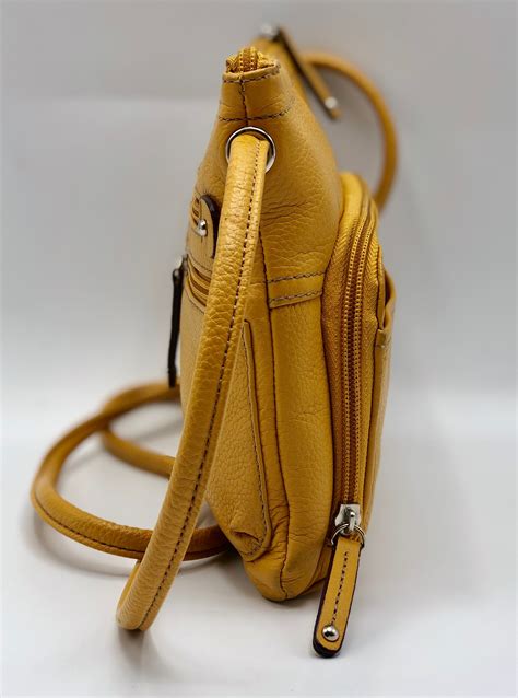 Tignanello Leather Crossbody Organizer Bag | Property Room