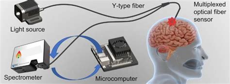 New AI-enabled, optical fiber sensor device could help monitor brain ... 