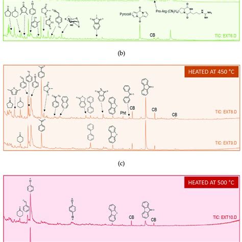 Total Ion Current Tic Chromatogram Obtained From Gc Ms Analysis Of Download Scientific