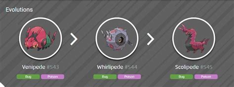 Whirlipede Guide: Take This Bug Pokemon For a Whirl - Pok Universe