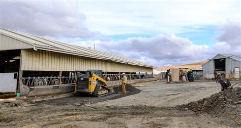 Dairy Farm Upgrades Will Benefit Cows Students Cheese Lovers Edairy