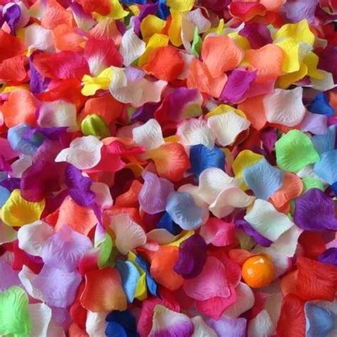 Rose Flower Petals