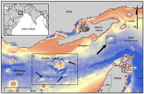 Diversity Free Full Text Hidden Depths A Unique Biodiversity Oasis