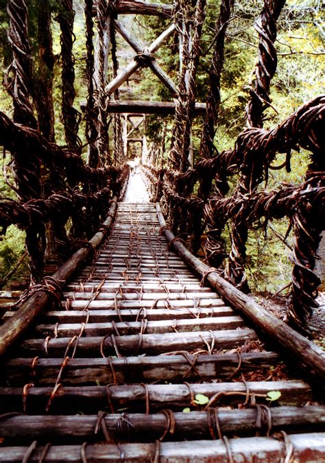 Oku Iya Kazura Bashi One Of The Two Vine Bridges At Oku Iy Flickr