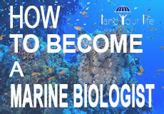 How To Become A Marine Biologist 2022 Education Salary Guide