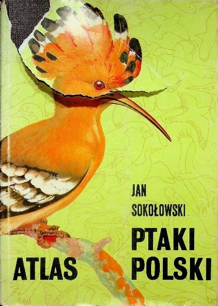 Jan Soko Owski Atlas Ptaki Polski Ksi Ka Allegro