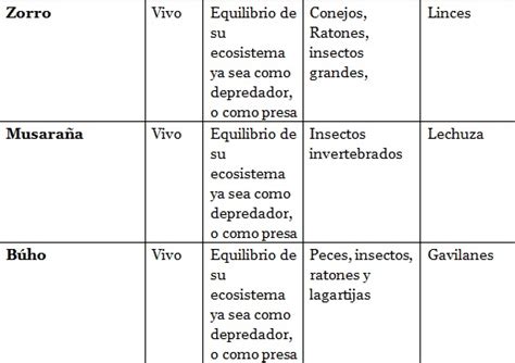 Biologia Iv Practica De Ecosistemas Primera Parte