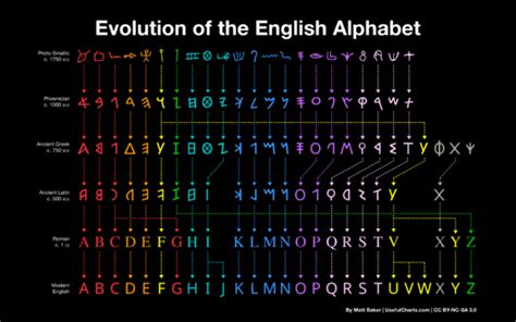 language evolution • History Infographics