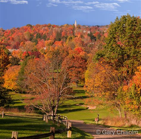 Denison University - Gary Chisolm Photographer & Artist