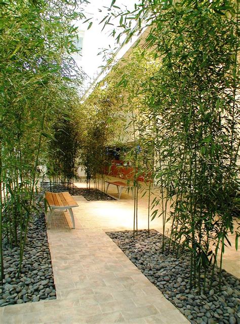 Indoor Bamboo Garden | Award-Winning Landscapes NYC