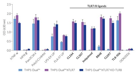 Thp Dual Htlr And Htlr Ko Tlr Cells Reporter Monocytes Invivogen