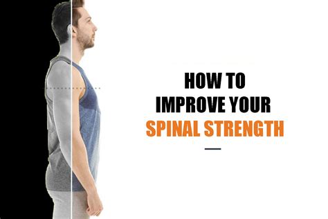 Improve Your Spinal Strength via Physiotherapy - We-fix-u