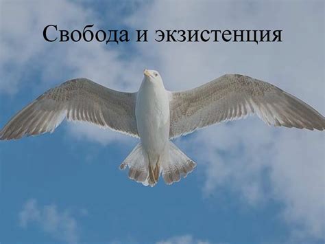 Свобода и экзистенция - online presentation