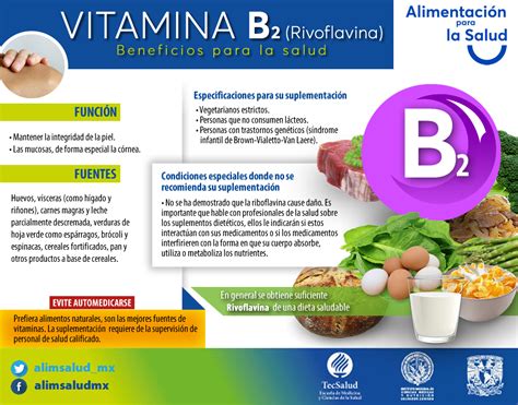 Vitamina B2 Alimentación Y Salud