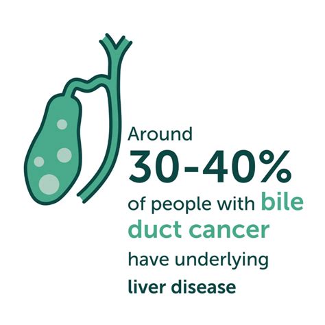 Statistics About Liver Cancer Liver Cancer Uk