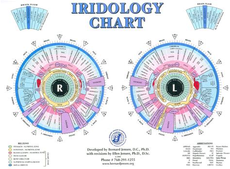 Jensen Iridology Chart Natural Treatments Natural Cures Natural