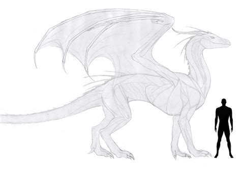 Dragon Reference sheet WIP by anonymous-Dragon on DeviantArt