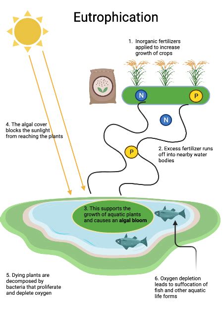 Evaluating The Effects Of Human Activity On The Environment