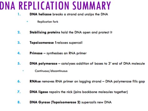 Molecular Biology Flashcards Quizlet