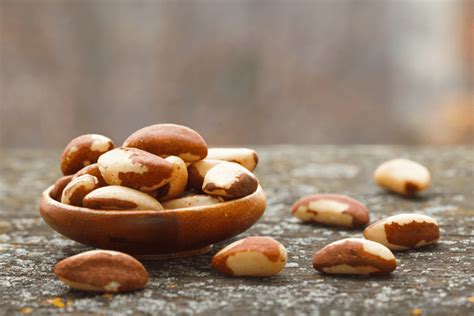 The Brazil Nut Nutrition Facts Health Benefits Recipes Other Uses