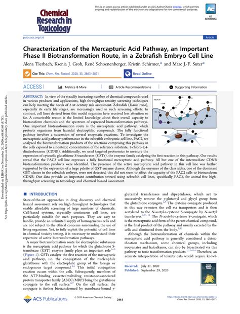 Pdf Characterization Of The Mercapturic Acid Pathway An Important