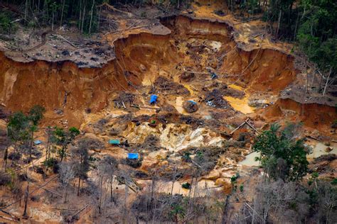 El Dilema Colonial De Brasil Minería Del Oro Y Deforestación En La