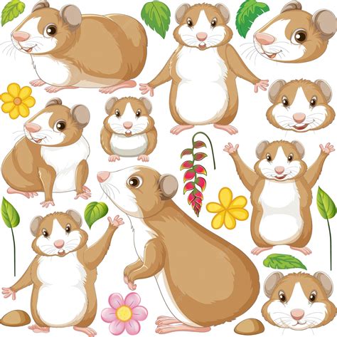 Cute Cartoon Hamster Wallpapers - Top Free Cute Cartoon Hamster Backgrounds - WallpaperAccess