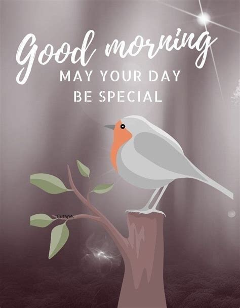 Pin By TISHA On Morning Good Morning Greetings Good Morning Cards