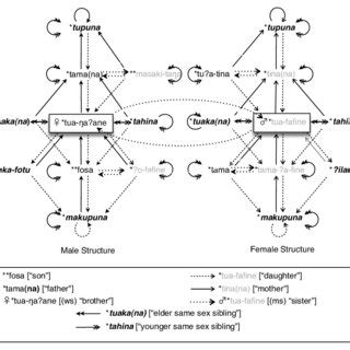 Kin Term Map For The Proto Polynesian Terminology There Is A Hidden